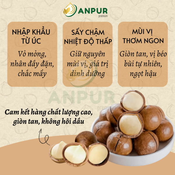 Alternative view of HẠT MACCA ÚC SẤY NỨT VỎ