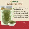 HẠT BÍ XANH SỐNG - NHẬP ẤN ĐỘ