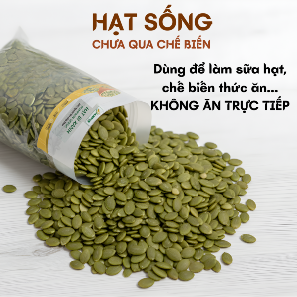 Alternative view of HẠT BÍ XANH SỐNG - NHẬP ẤN ĐỘ