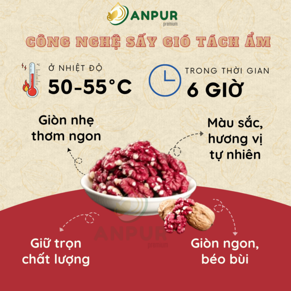 Alternative view of NHÂN ÓC CHÓ ĐỎ SẤY MỘC