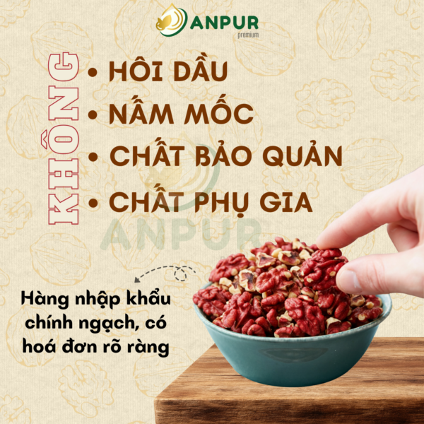 Alternative view of NHÂN ÓC CHÓ ĐỎ NHẬP KHẨU MỸ