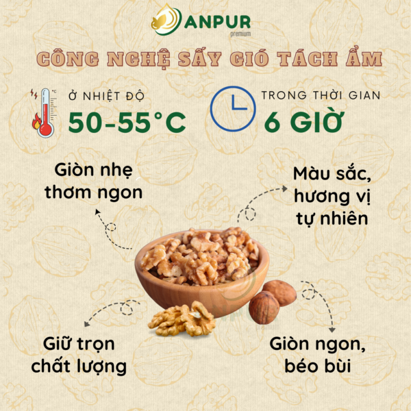 Alternative view of NHÂN ÓC CHÓ VÀNG MỸ SẤY MỘC