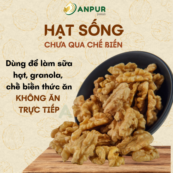 Alternative view of NHÂN ÓC CHÓ VÀNG 420G