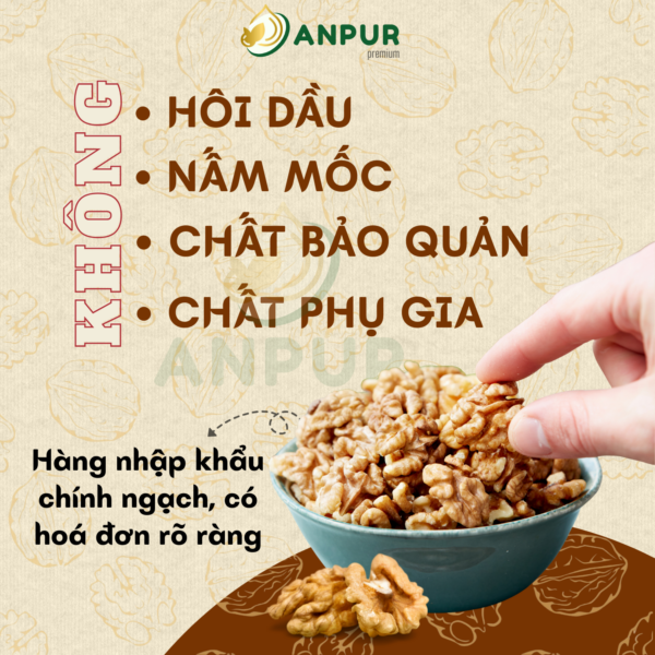 Alternative view of NHÂN ÓC CHÓ VÀNG - NHẬP KHẨU MỸ