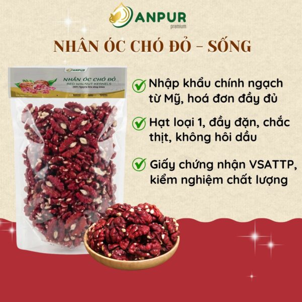 NHÂN ÓC CHÓ ĐỎ NHẬP KHẨU MỸ